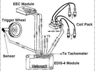 edis 4.jpg