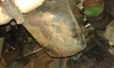 20160611_165457.jpg (1.01 MiB) Przejrzano 8210 razy moja misa