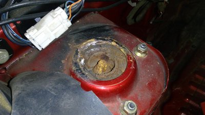IMG_20170208_131458.jpg