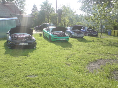 bubu16.JPG