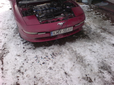 DSC00835.JPG